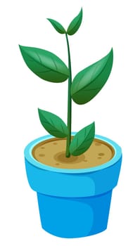Flowerpots and green leaf