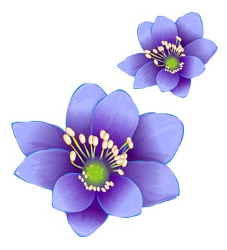 purple flower