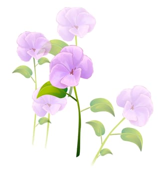 purple flower