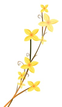yellow flower