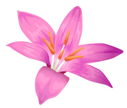 purple flower