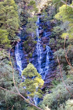 Wombelano Falls in Kinglake National Park on a cool spring day in Melbourne, Victoria, Australia
