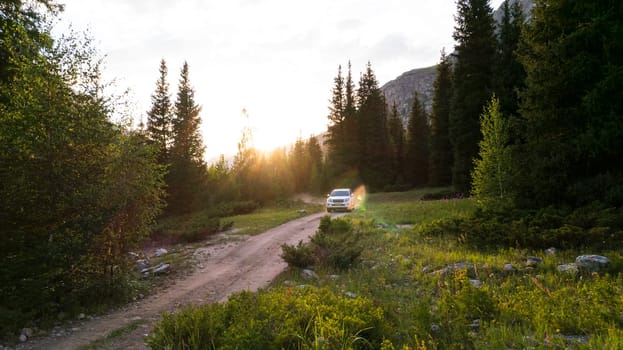 The white SUV overcomes the mountain route along the gorge along the river through the forest. Sunset. The yellow rays of the sun illuminate the white dust. Tall coniferous trees and flowers.