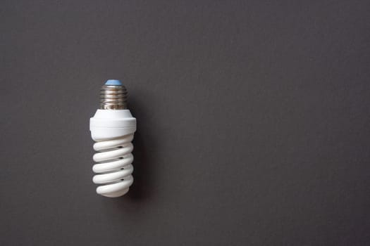 Energy saving light bulb on a black background. Economical consumption of electricity. The concept of nature conservation