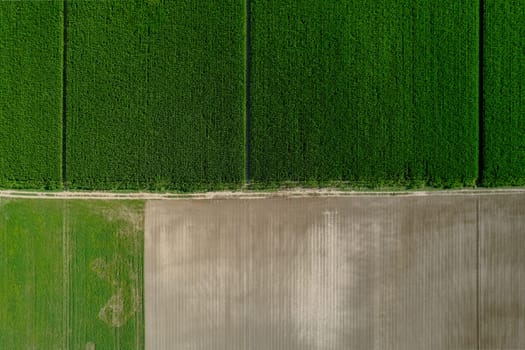 aerial photo shot of mixed cultivated and harvested rural plain land during hot season