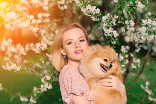 Attractive young woman holding dog spitz outside and smiling at camera, walking in the park. Concept about friendship between people and animals.