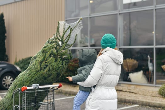 Mother bought a Christmas tree at the market