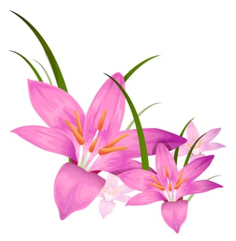 purple flower