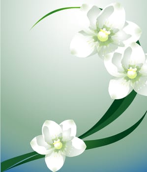 white flower