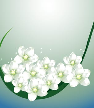 white flower