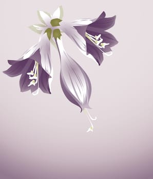 purple flower
