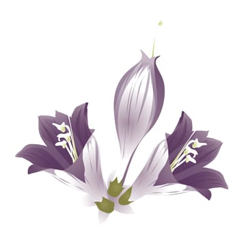purple flower