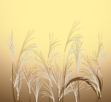 reed