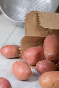 Potato group