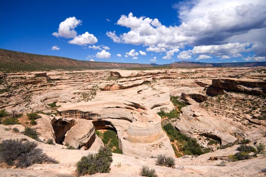Natural Bridges National Monument