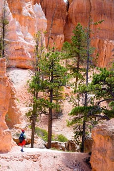 Hiking in Bryce Canyon