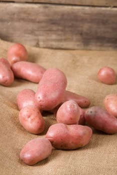 Potatoes on sack