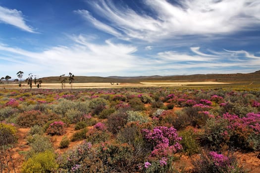 a long and lonely road in south afrika