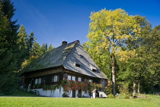 Black Forest House