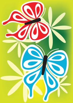 butterfly