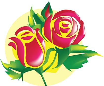 Beautiful flower of rose