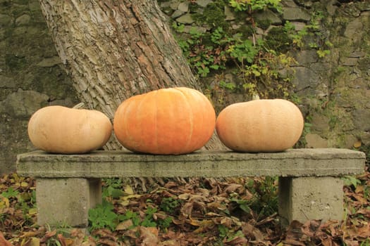 Three large pumpkins lying on stone bench