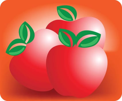 Sweet fruit of apple
