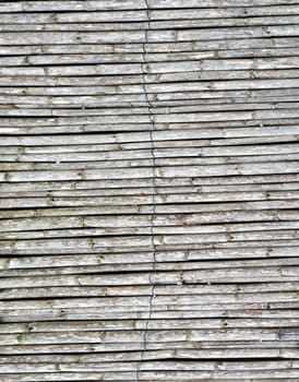 Bamboo fence