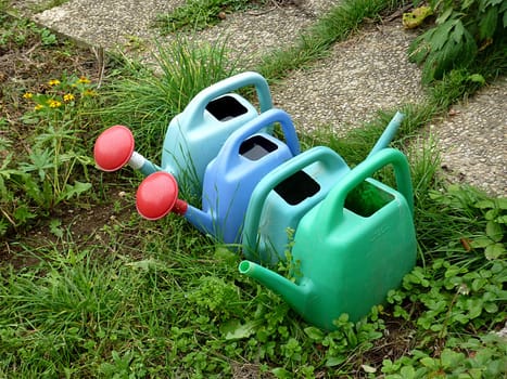 Watering canes
