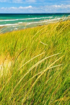 Sand dunes at beach