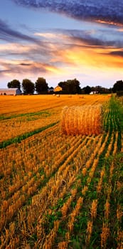 Golden sunset over farm field