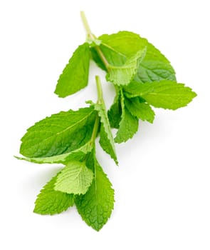 Mint sprigs