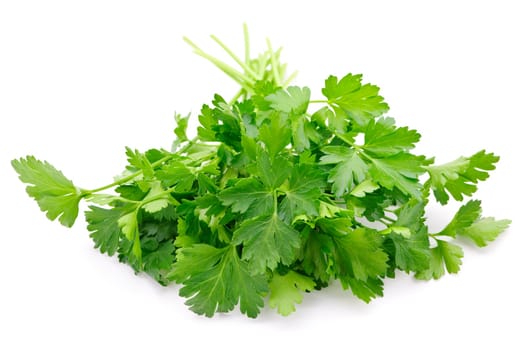 Fresh parsley on white background