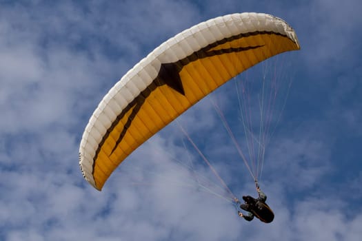 Paraglider