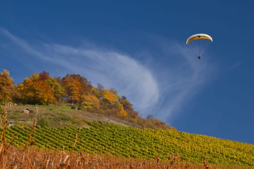 Paraglider
