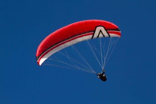 Paraglider