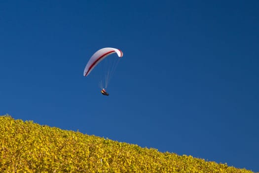 Paraglider