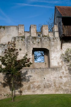 Window of Time