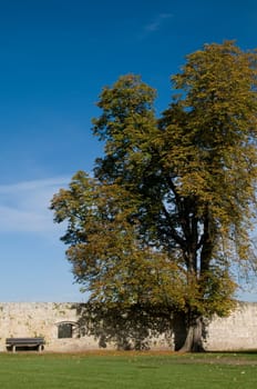 Autumn at the castle