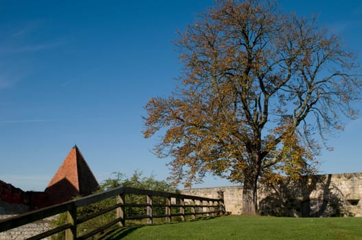 Autumn at the Castle 3