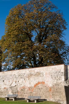 Autumn in Burghausen