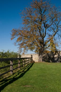 Autumn at the Castle 2