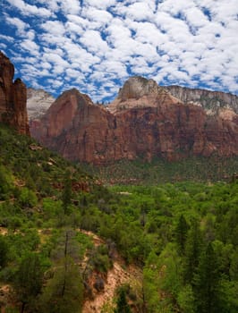 Zion sky