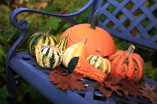 Autumn decoration on garden bench