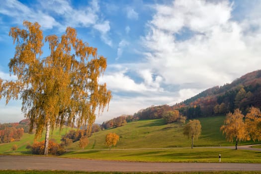 The road to Hottwil