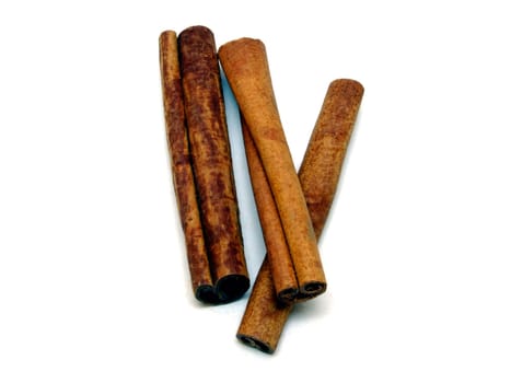 Cinnamon (cinnamomum)