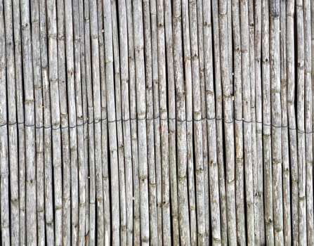 Bamboo fence