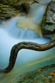 Stream