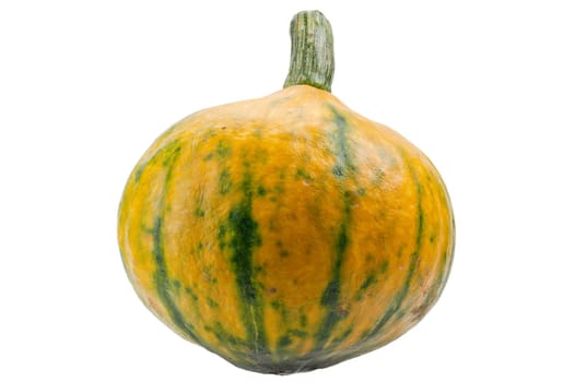 Colourful pumpkin isolated on white back
