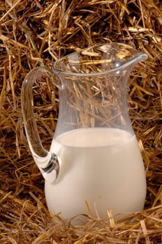 dairy